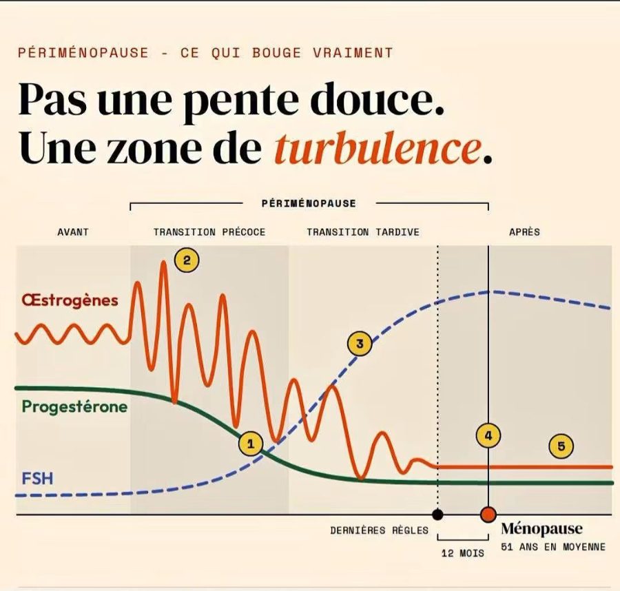 Graphique des hormones pendant la périménopause